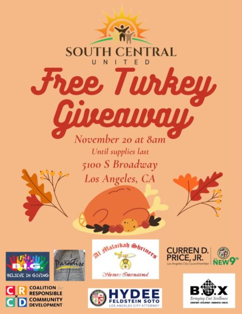 WhatsApp Image 2025-11-17 at 11.11.16_80f92338